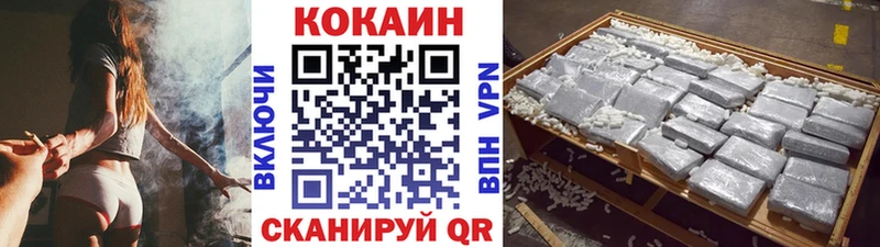 Купить закладки  Аргун  COCAIN Fish Scale 