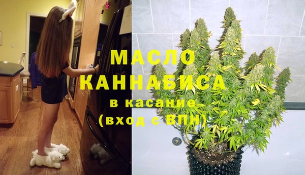 гидра Новодвинск
