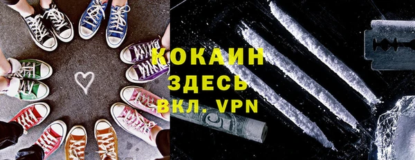 гидра Новодвинск