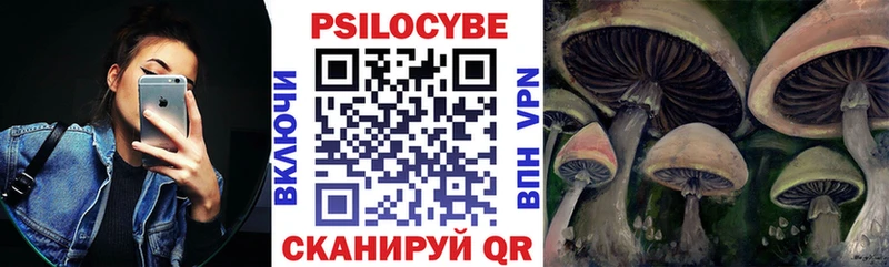 Купить закладки  Аргун  Псилоцибиновые грибы прущие грибы 
